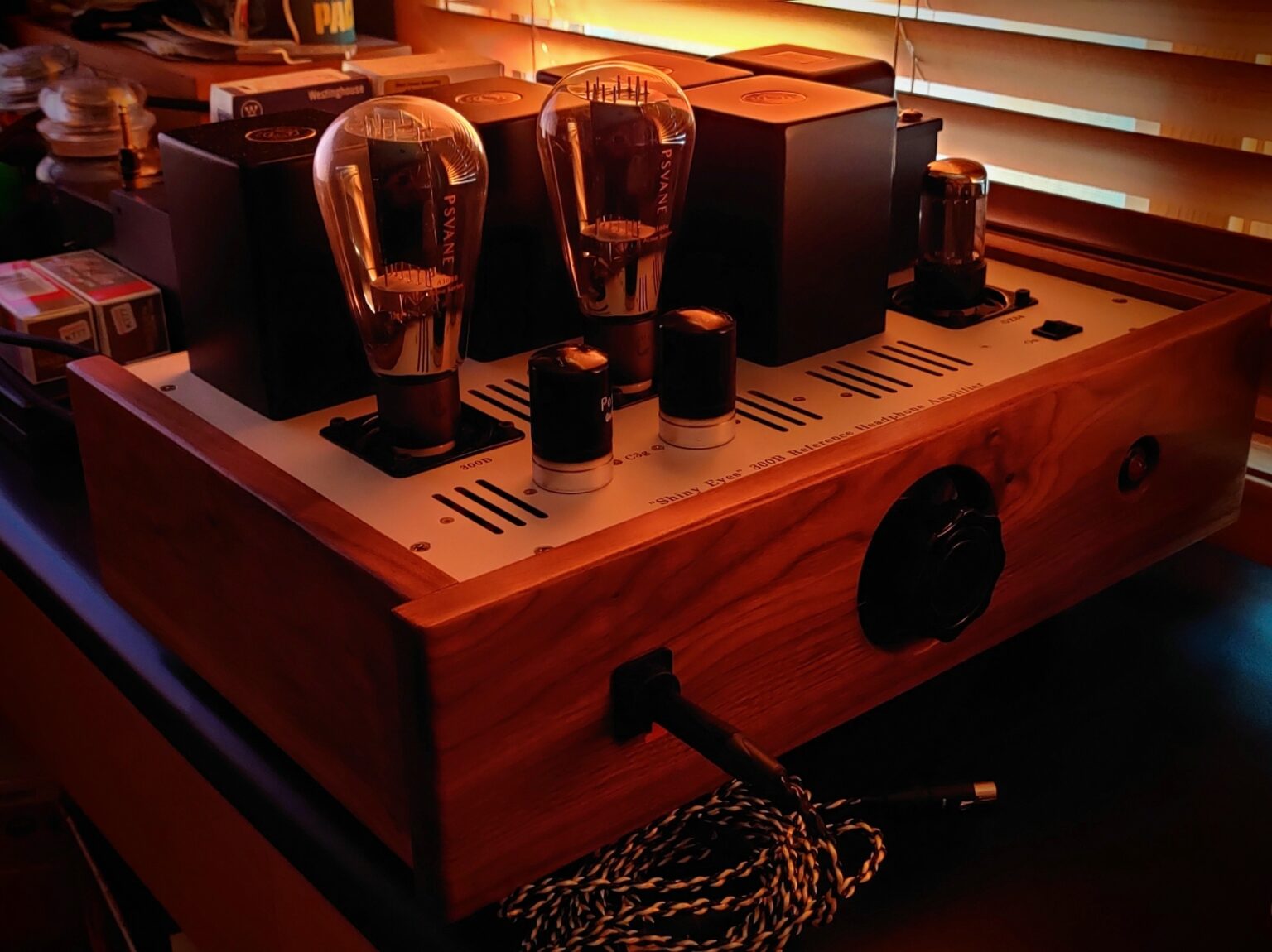 Custom Boutique Amplifier Radu Tarta, Shiny Eyes “End Game DHT